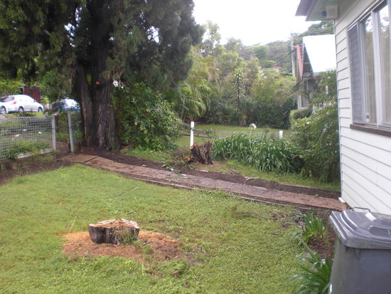 das war alles komplett zugewuchert...kein Weg zu sehen...ausserdem sind seitdem tausende von spinnen obdachlos...
