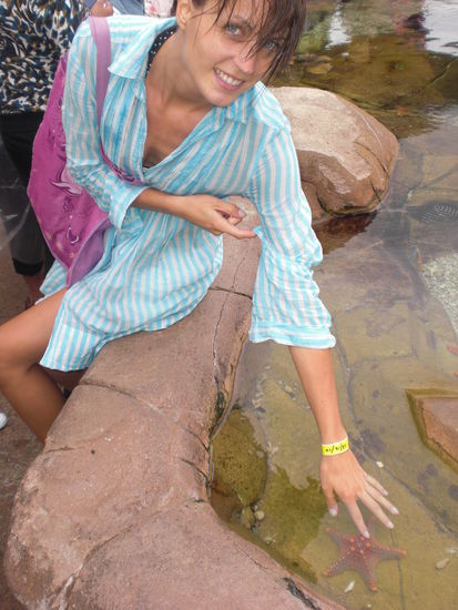 meine geliebten Seesterne...