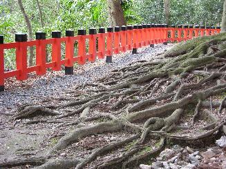 Die 30.000 Schreine in Fushimi - Inari