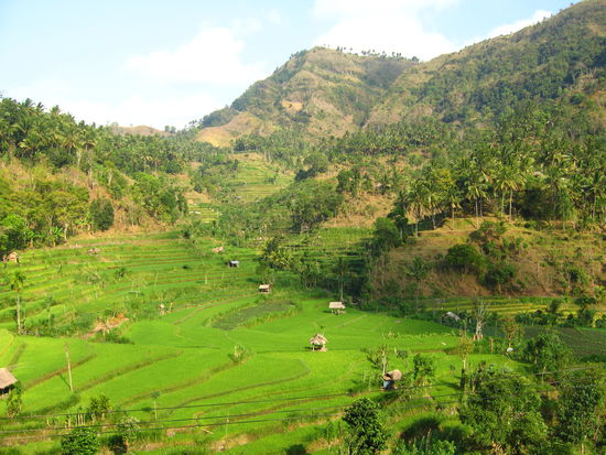 Die Natur ist einfach unglaublich, die Farben sind so intensiv wie wir es sonst nur von der Unterwasserwelt kennen