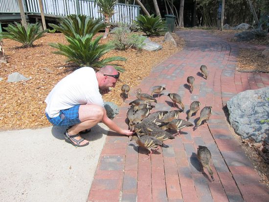Das Überfallskommando gleich nach dem Eingang und es sollte nicht die letzte Gefahr bleiben.