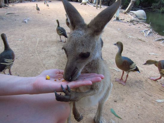 Tu die Hand da ja nicht weg.