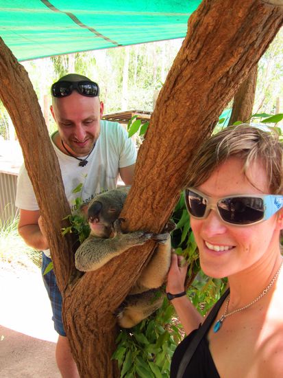 Ein Bild mit einem Koala darf natürlich auch nicht fehlen e klar. Der Kerl heißt Ray Charles --&gt; da er leider blind ist.