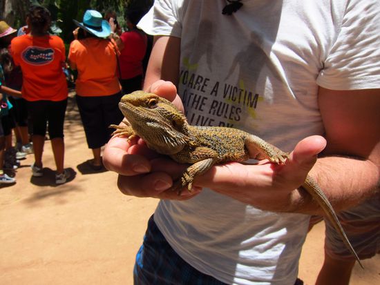 Der war richtig nett, keine Ahnung warum der Tatz den nicht halten wollte.