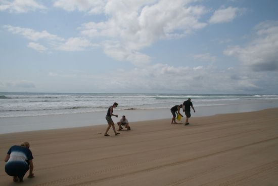 Alle beim Pipis suchen. Schaut komisch aus, ist es auch gg!