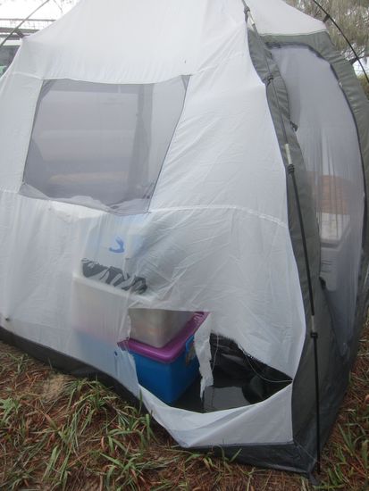 Das zerfetzte Zelt, wenn man genau schaut sieht man das zweite Loch im Hintergrund. Tim und ich stellten die These auf, dass die Dingos 2 Löcher gemacht haben damit sie beim abfangen spielen durchlaufen können ! David fand es nicht so lustig  da es sich wahrscheinlich um sein Zelt gehandelt hat gg.
Gleich dahinter war unser Zelt wo sie es ebenfalls versucht haben --&gt; ohne Erfolg gg.