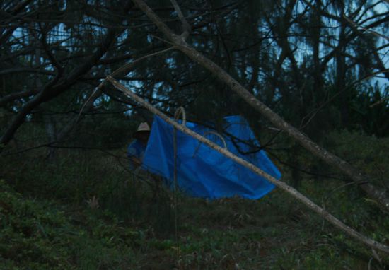 Tim am Klo auch Bush Crapper genannt, ich persönlich denke ja, dass das dafür verantwortlich war, dass so viele Fliegen fliegen haha.