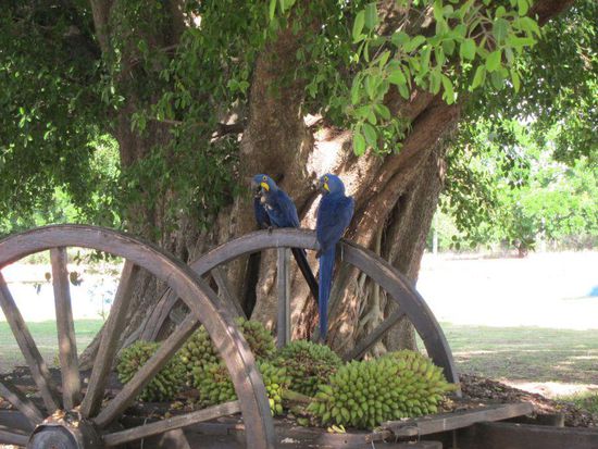 Das Begrüßungskomitee beim Frühstück.