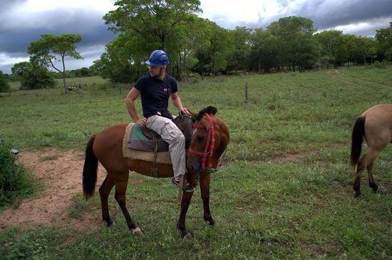 Was es da wohl zu sehen gibt?
