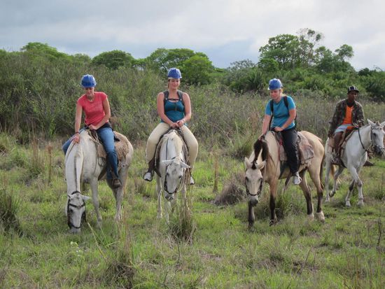 Jausenpause! Normalerweise würde ich das Pferdchen ja nicht fressen lassen, aber denen sei es vergönnt.