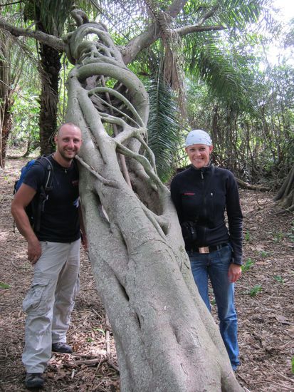 Dieses Kunstwerk ist ein Parasit, der sich um seinen Wirt (Baum) schlingelt. Irgendwann stirbt der Baum dann ab und übrig bleibt der Schlingel 
