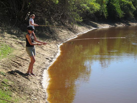 Einer der Holländer hatte das Pech mehr Kaimane an der Angel zu haben als Fische. Was zur Folge hatte, dass er damit den Verlust von mind. 3 Angelhaken zu beklagen hatte.