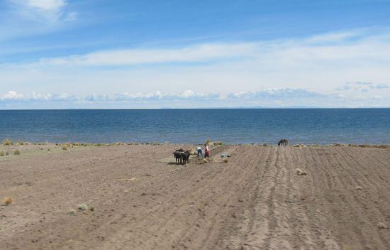 Die Unterschiede könnten nicht größer sein. Aber seht selbst am übernächsten Bild.