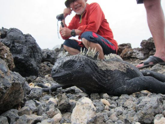 Auf Tintoreras mit .....? Erkennt ihr ihn im Hintergrund?
Mister Miagi, der dem Stereotyp "Japaner" mehr als gerecht geworden ist haha, er ist uns beim Schnorcheln dann zwar fast ersoffen, aber einen echten Samurai haut so schnell nix aus den Sandalen!