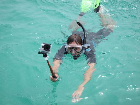 Der Tatz beim Schnorcheln und nein, das war nicht in einem Swimmingpool 