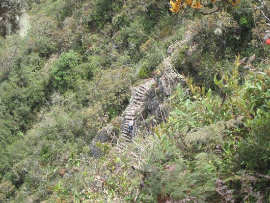Steiler aufstieg zum Montana Machu Picchu. Würde ich weniger sportlichen Menschen nur dann empfehlen, wenn sie zuerst mit dem Bus hinauf gefahren sind.