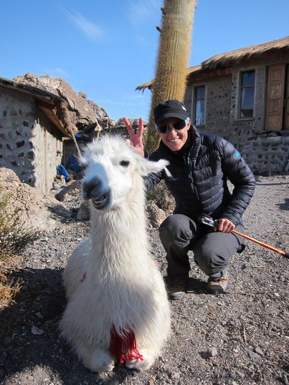Ja, die Lamas auf der Isla de Pescado sind alle auf Touris geschult und lächeln freundlich in die Kamera 