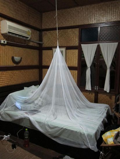 Endlich finden wir Verwendung für unser Moskitonetz!