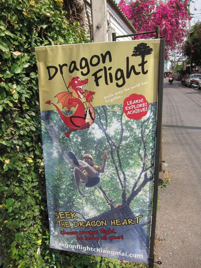 Fliegender Drache haha !