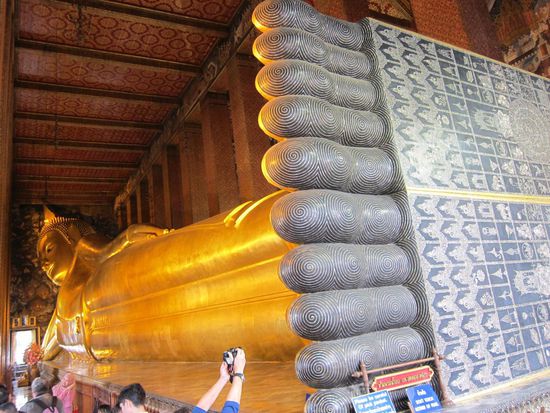 Den sollte man gesehen haben und der is viel größer als er auf den Fotos wirkt.