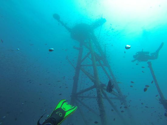 Abtauchen am "Mast" entlang, vorbei an einem riesen Fischschwarm.