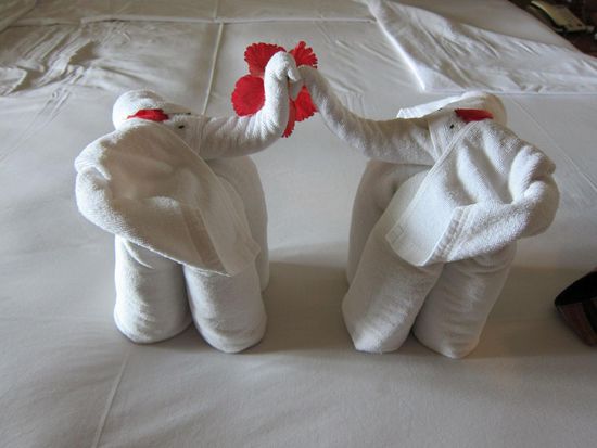 Jeden Tag wurde das Zimmer gemacht und lustige Handtuchfiguren gebastelt. Hallo! Wir haben unser eigenes Zimmer, das ist mehr Luxus als zu ertragen ist gg.