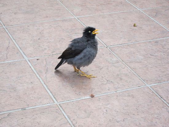 Das war keine Bitte! Du gibst mir jetzt was, sofort, verstanden! 
Ich glaub, dass der einfach zu scharf gegessen hat !