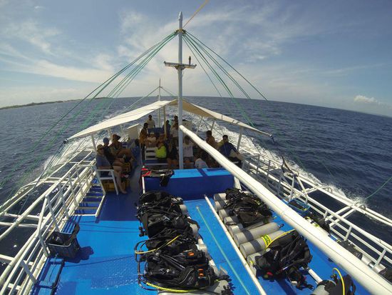 Well organized geht es auch zum ersten Spott.