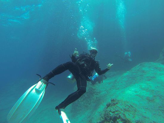 Hier der gemeine Rückenschwimmer . Leider können wir keine high end Unterwasserfotos machen, da wir unser Unterwassergehäuse für die gute Kamera nicht mit haben und die Go Pro nur semitauglich ist.