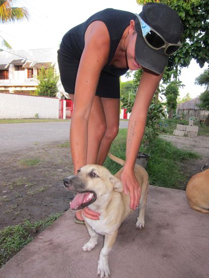 Wer mich kennt, der weiß, dass ich Tieren, die beißen nicht unbedingt zugeneigt bin, aber der kleine Kerl (Janik), auch wenn er nicht schön ist, hat mein Herz erobert.
