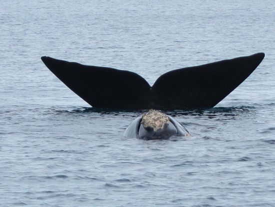 Und wo es den gab, gab es noch viele viele mehr, war ein richtig cooler Tag.