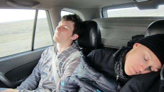 Da waren zwei aber schon wieder müde !