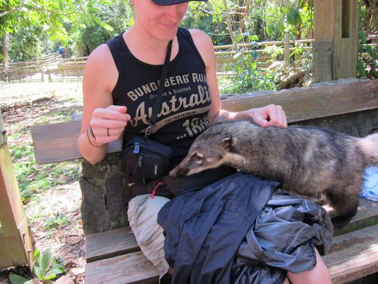 .... schlossen neue Freundschaften, .....