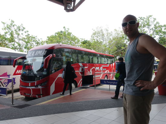 Die Busse waren top!