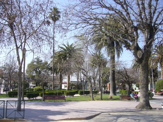 Der Platz von Casablanca