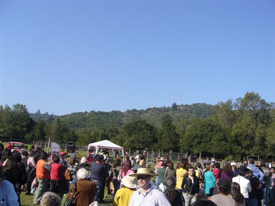Der Festplatz (nicht zu vergleichen mit Wilbasen)