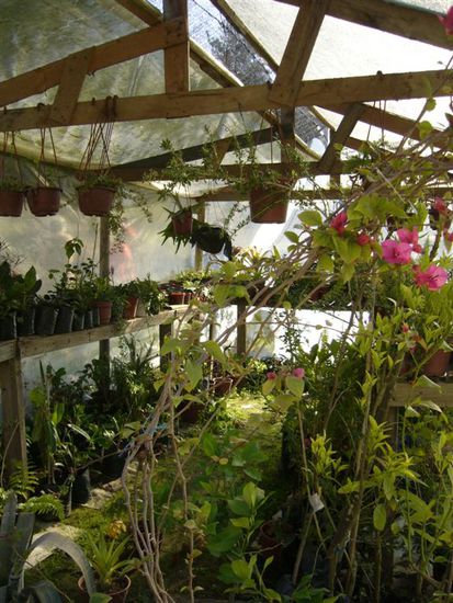 Ein Gewaechshaus