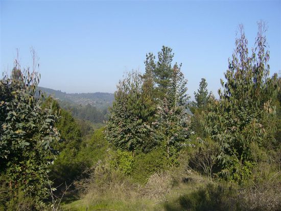 Aber dafuer Natur pur und Sonne 