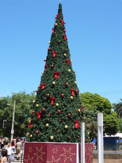 Der Tannenbaum vor der Mall