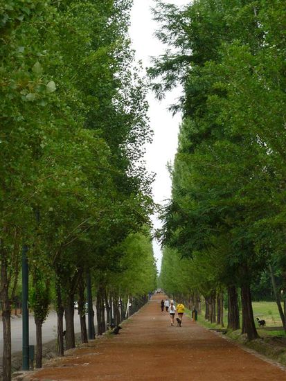 Im großen Stadtpark