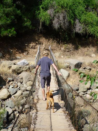Wir hatten stets einen treuen Begleiter  Hundi