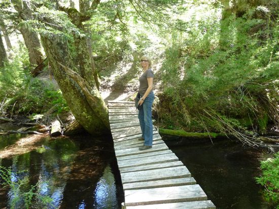 Auf unserer Wanderung durch den park