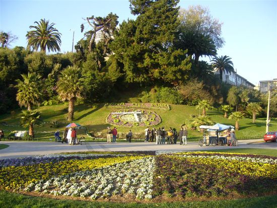 Eine Uhr aus Blumen, voll schoen!