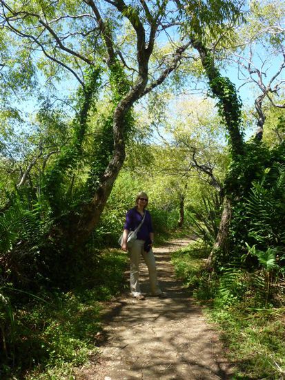 Im botanischen Garten