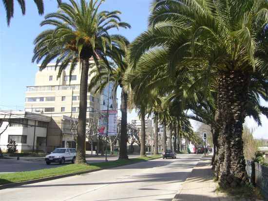 Eine typische Strasse in Viña