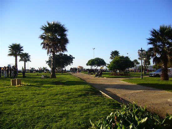 Ueberall sind Parks!