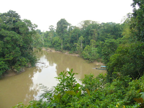 Der Rio Tiputini. Rechts die Bootsanlegestelle der Station und links der wilde und fuer usn verbotenen Yasuni-Nationalpark