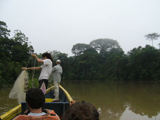 Die Woolies beim Fischen im tollen Rio Tiputini
