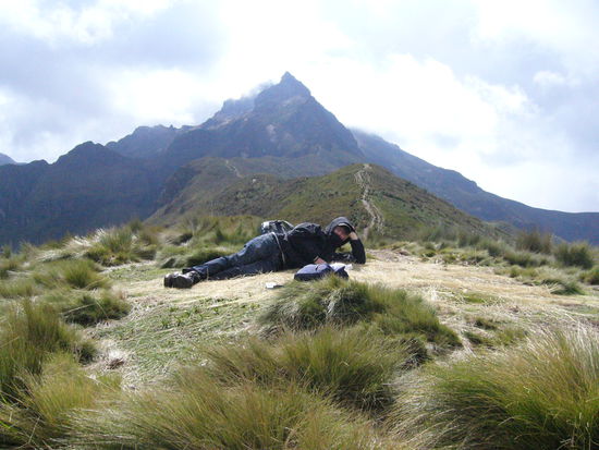 Ein Bett aus Paramo-Gras auf 4250 m. Im Hintergrund der Gipfel Rucu Pichincha mit 4698 m.