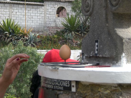 Das Ei auf dem Kopf eines Nagels!